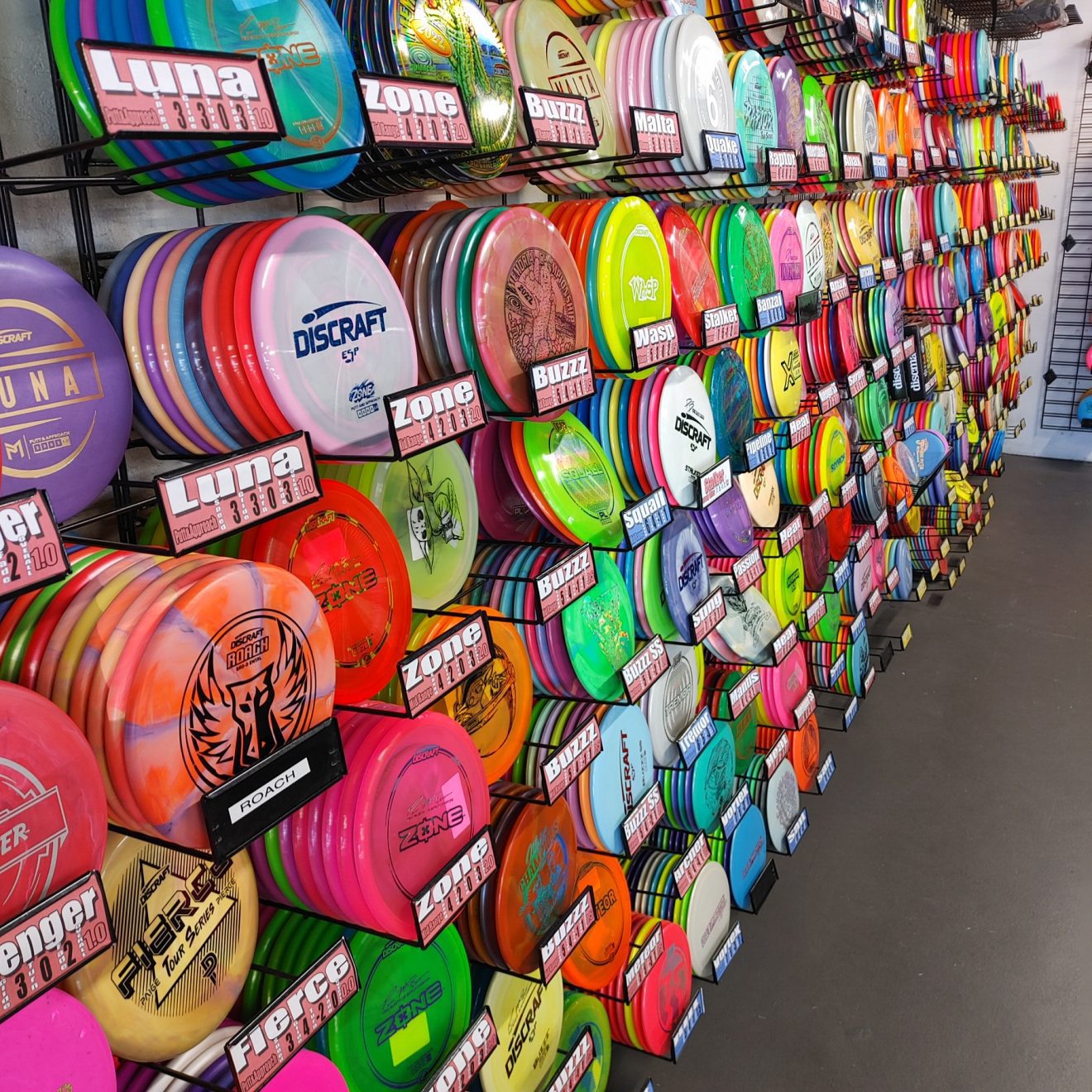 Disc Golf Spinners on the Green Disc Golf Superstore in Scottsdale